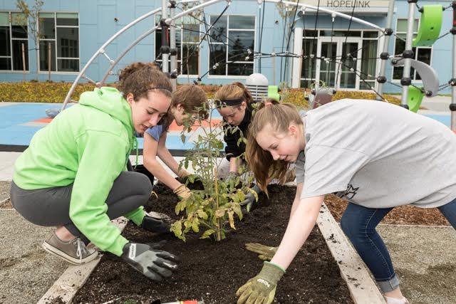 four people planting a garden